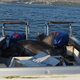 Illustration for article titled Great, Its Gotten To The Point That Great White Sharks Are Jumping Into Our Boats